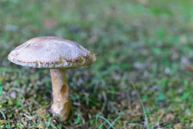 なぜ化学繊維はワキガを強くする？